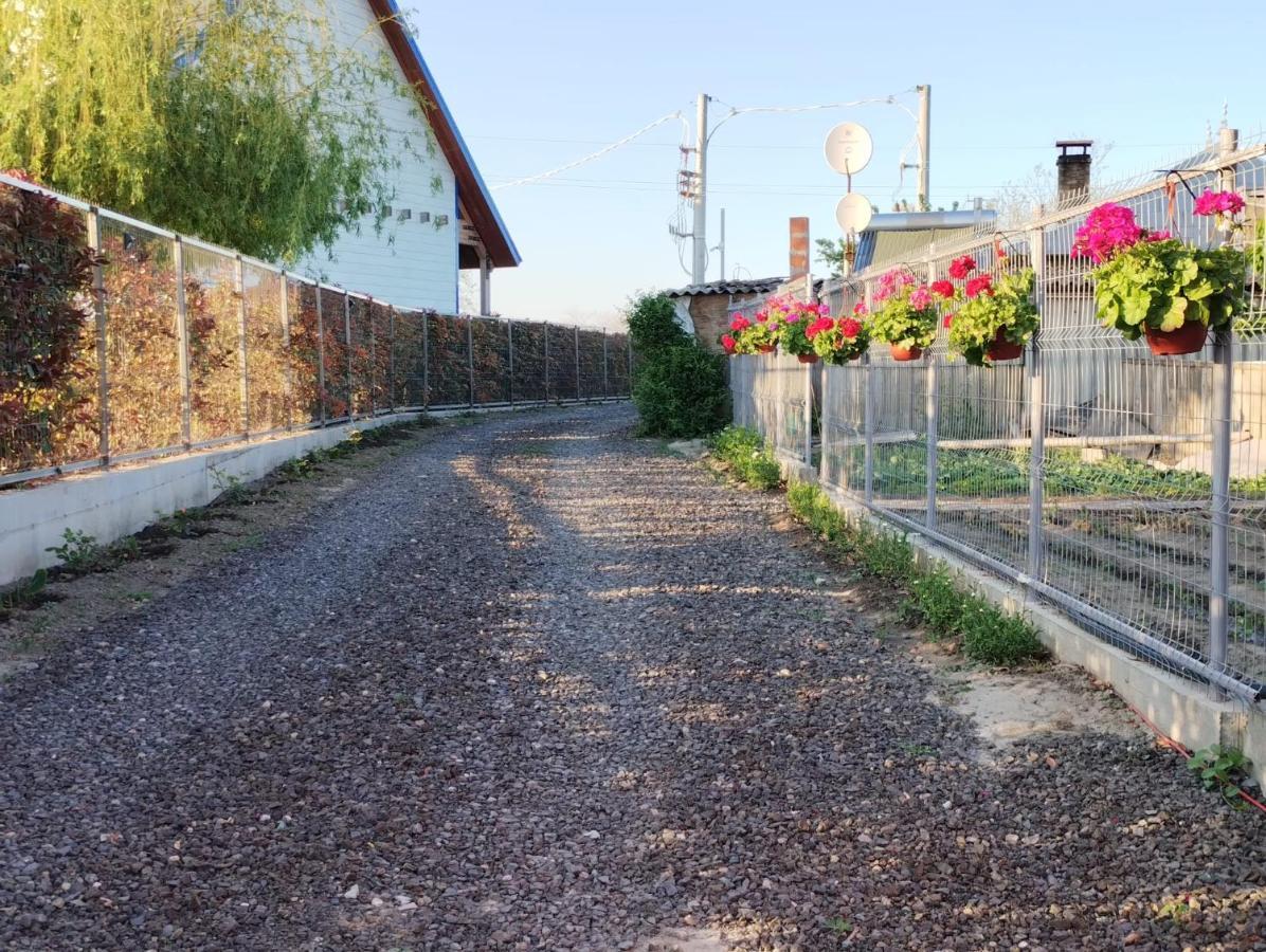 Cabanele Deltei Dunavăţu de Jos Exterior foto