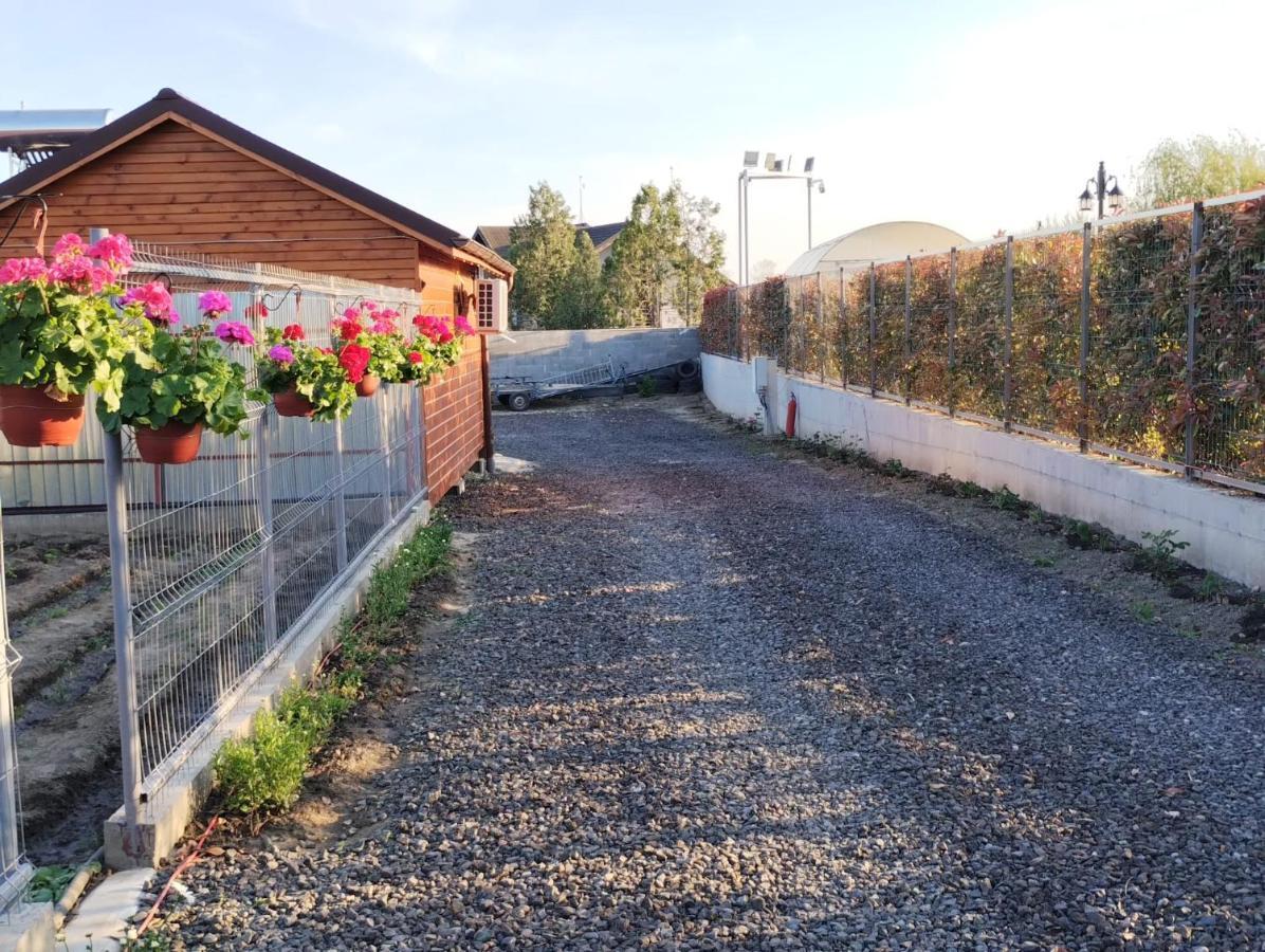 Cabanele Deltei Dunavăţu de Jos Exterior foto